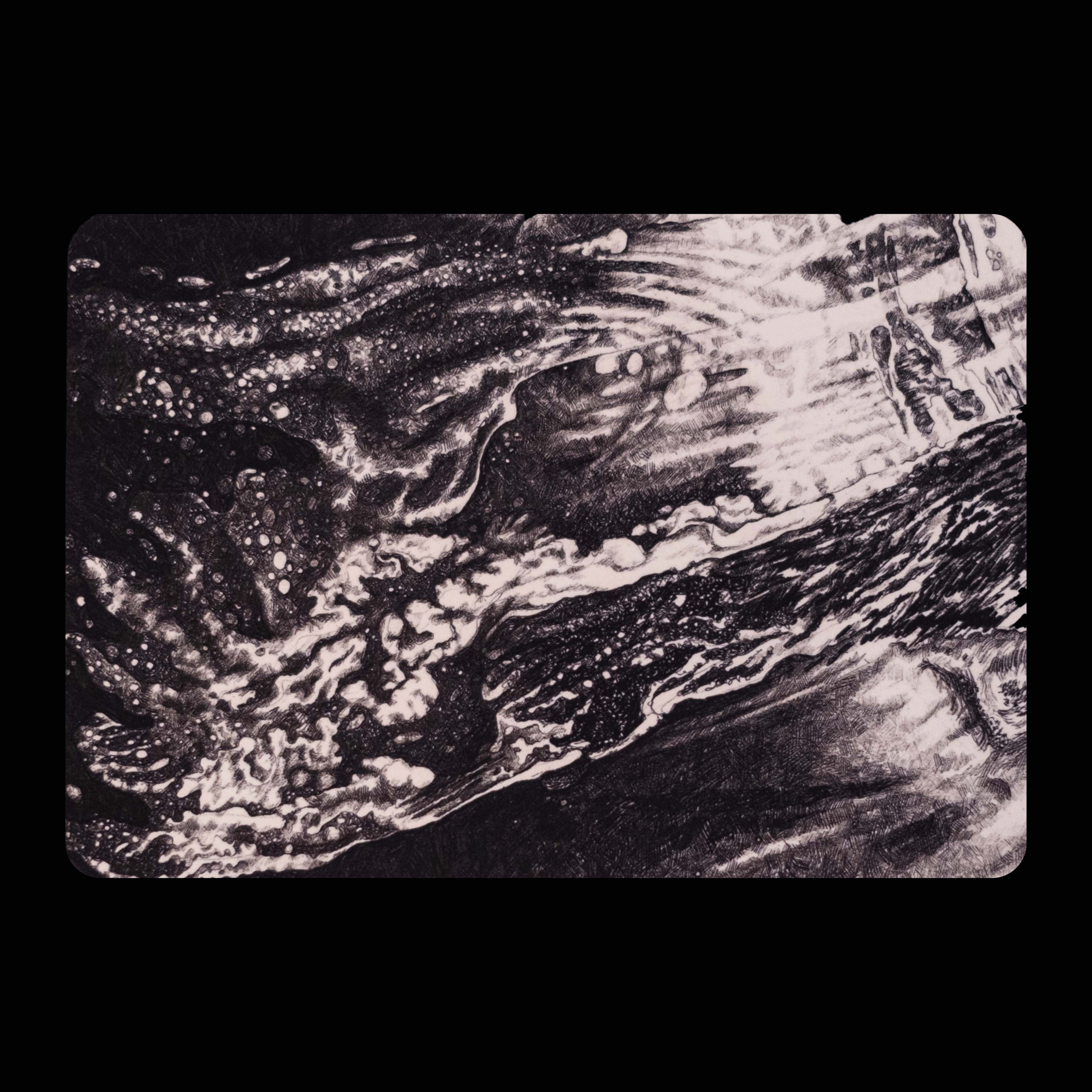 Postkaart Zonnevlam - 